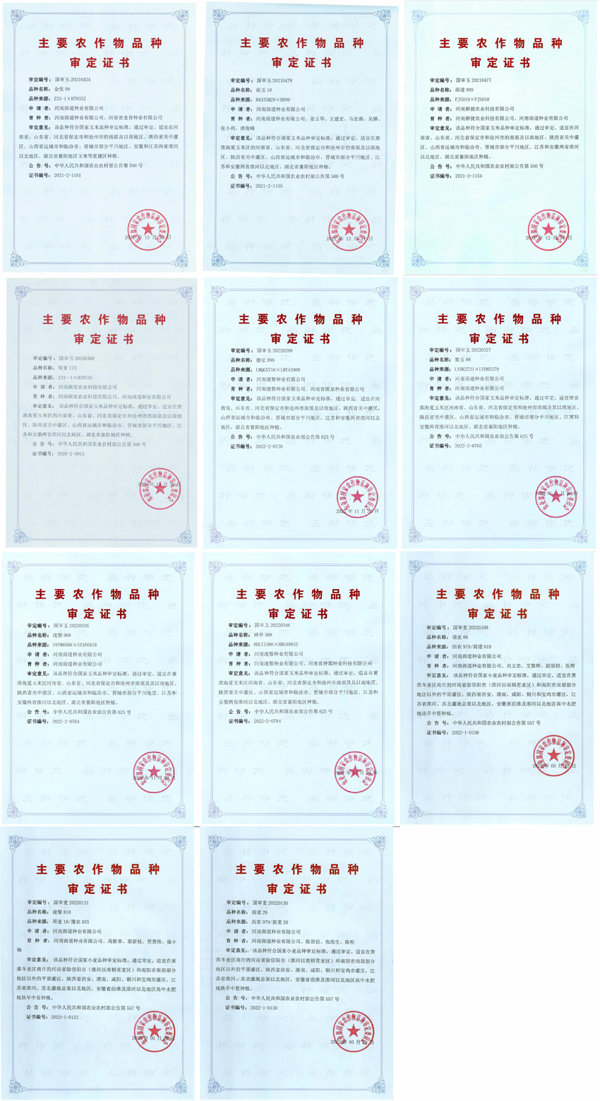 主要农作物品种审定证书
