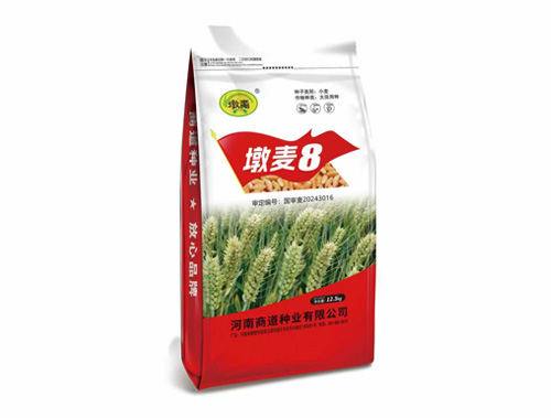 墩麦8
