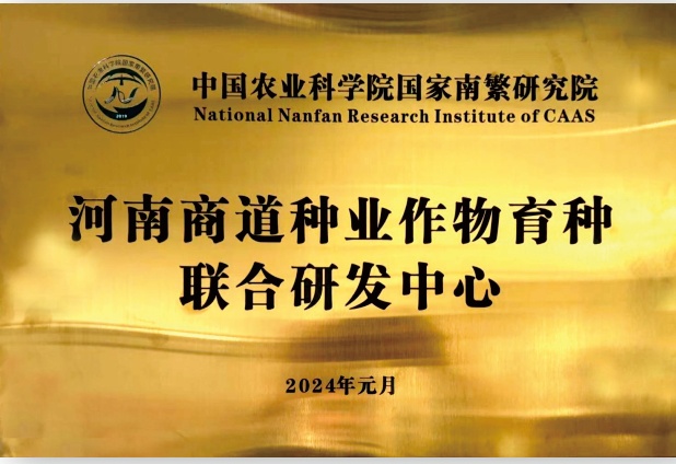 河南商道种业作物育种联合研发中小