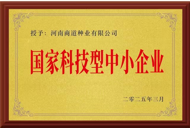 国家科技型中小企业